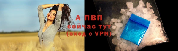 сатива Абаза